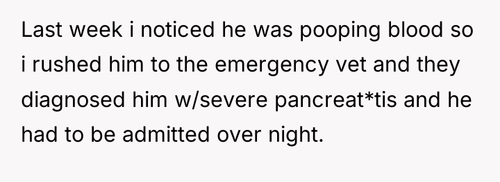 Last week i noticed he was pooping blood so i...
