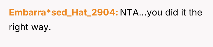 Embarra*sed_Hat_2904 NTA...you did it the right way.