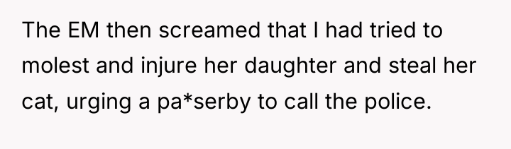 The EM then screamed that I had tried to molest...