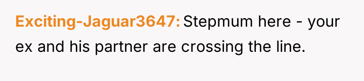Exciting-Jaguar3647 Stepmum here - your ex and his partner are...