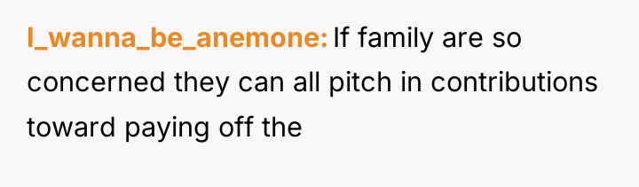 I_wanna_be_anemone If family are so concerned they can all pitch...