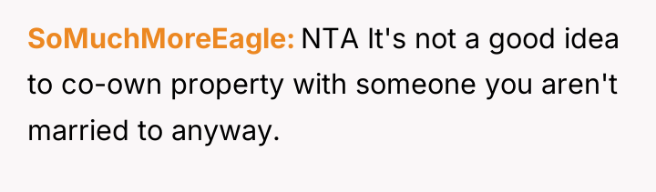 SoMuchMoreEagle NTA It's not a good idea to co-own property...