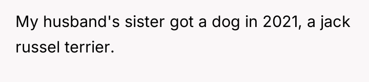 My husband's sister got a dog in 2021, a jack...