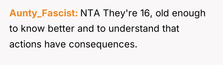 Aunty_Fascist NTA They're 16, old enough to know better and...