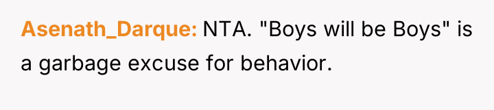Asenath_Darque NTA. "Boys will be Boys" is a garbage excuse...