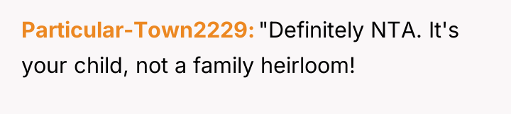 Particular-Town2229 "Definitely NTA. It's your child, not a family heirloom!
