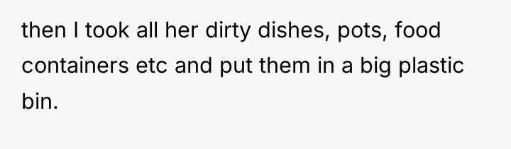 then I took all her dirty dishes, pots, food containers...