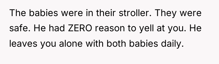 The babies were in their stroller. They were safe. He...