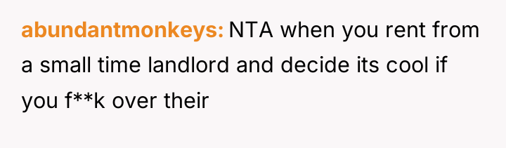 abundantmonkeys NTA when you rent from a small time landlord...