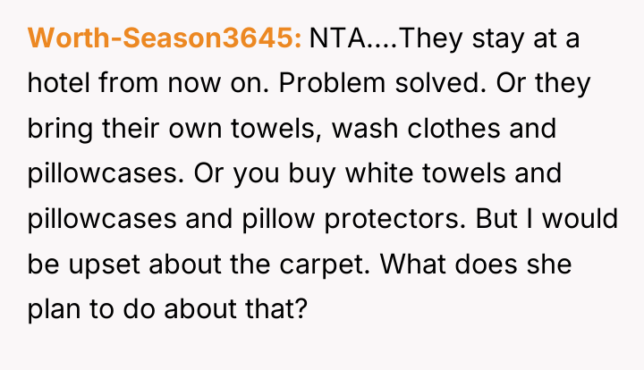 Worth-Season3645 NTA....They stay at a hotel from now on. Problem...