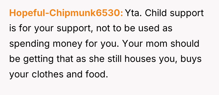 Hopeful-Chipmunk6530 Yta. Child support is for your support, not to...