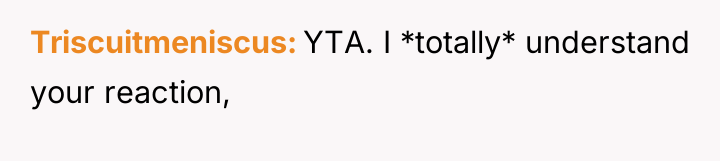 Triscuitmeniscus YTA. I *totally* understand your reaction,