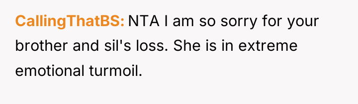 CallingThatBS NTA I am so sorry for your brother and...