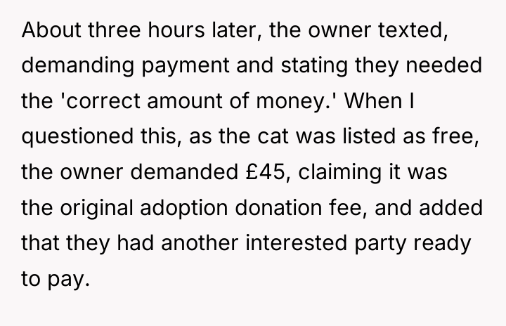 About three hours later, the owner texted, demanding payment and...