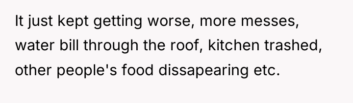It just kept getting worse, more messes, water bill through...