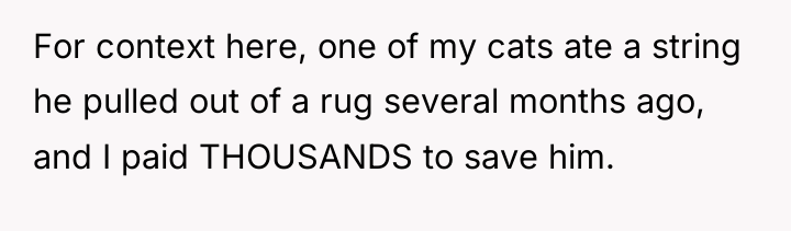 For context here, one of my cats ate a string...