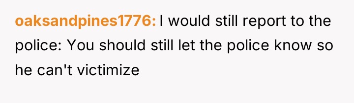 oaksandpines1776 I would still report to the police: You should...