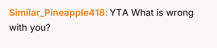 Similar_Pineapple418 YTA What is wrong with you?