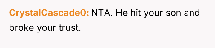 CrystalCascade0 NTA. He hit your son and broke your trust.