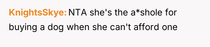 KnightsSkye NTA she's the a*shole for buying a dog when...