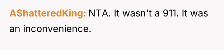 AShatteredKing NTA. It wasn't a 911. It was an inconvenience.