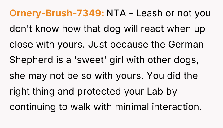 Ornery-Brush-7349 NTA - Leash or not you don't know how...