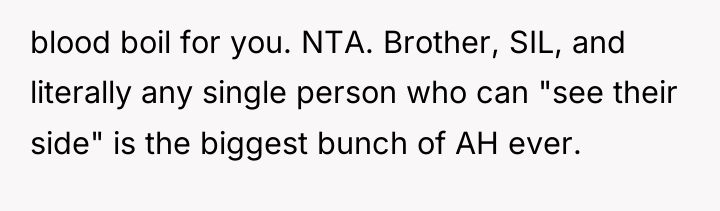 blood boil for you. NTA. Brother, SIL, and literally any...