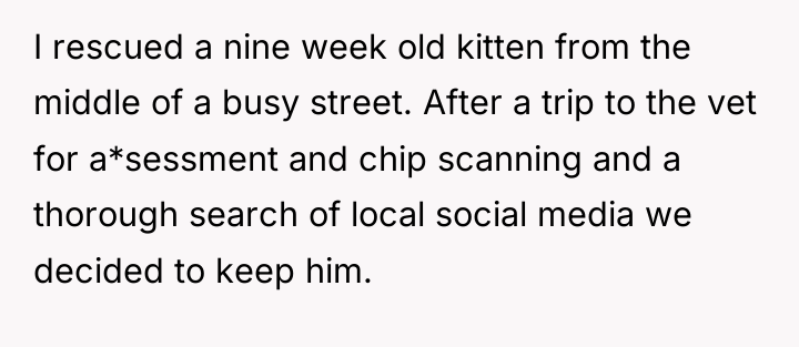 I rescued a nine week old kitten from the middle...
