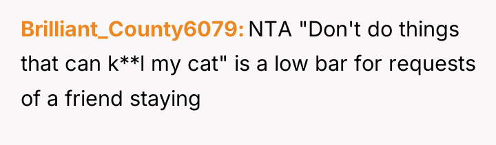 Brilliant_County6079 NTA "Don't do things that can k**l my cat"...