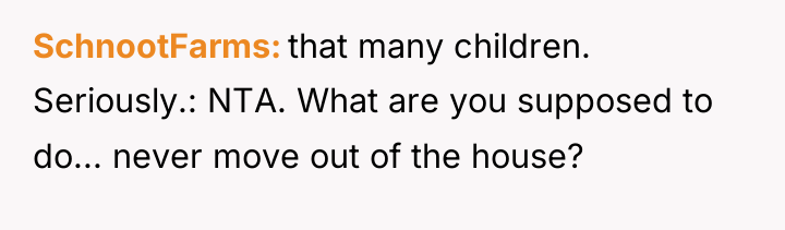 SchnootFarms that many children. Seriously.: NTA. What are you supposed...