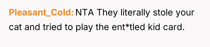 Pleasant_Cold NTA They literally stole your cat and tried to...