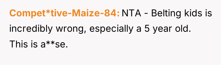 Compet*tive-Maize-84 NTA - Belting kids is incredibly wrong, especially a...