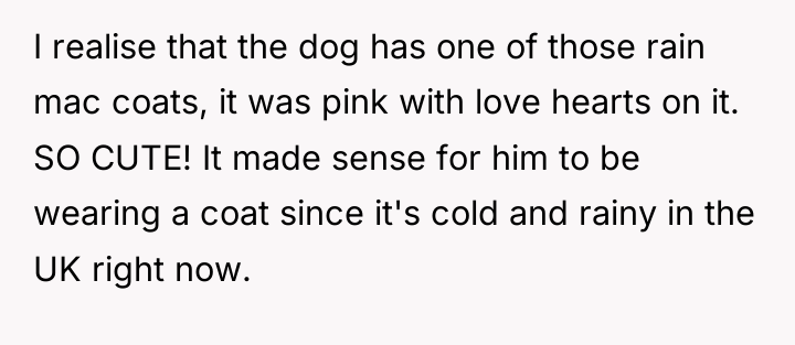 I realise that the dog has one of those rain...