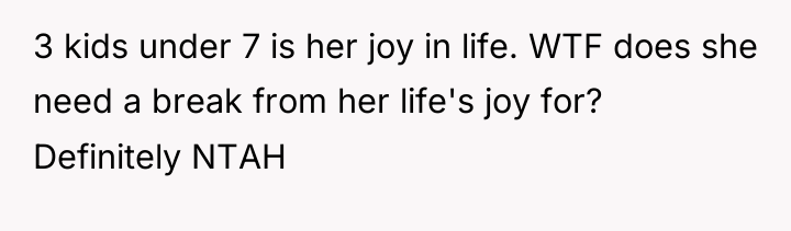3 kids under 7 is her joy in life. WTF...