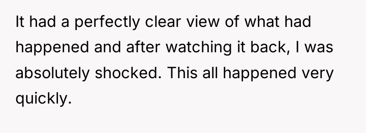 It had a perfectly clear view of what had happened...