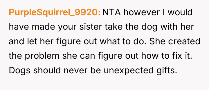 PurpleSquirrel_9920 NTA however I would have made your sister take...