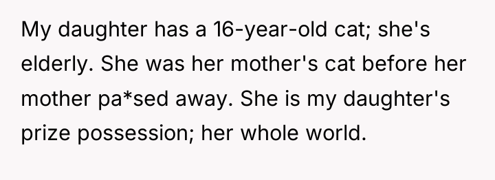 My daughter has a 16-year-old cat; she's elderly. She was...
