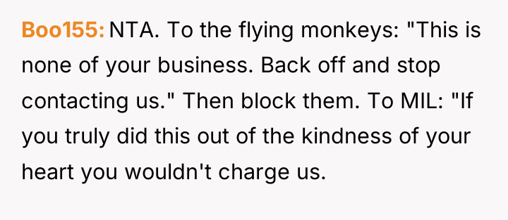 Boo155 NTA. To the flying monkeys: "This is none of...