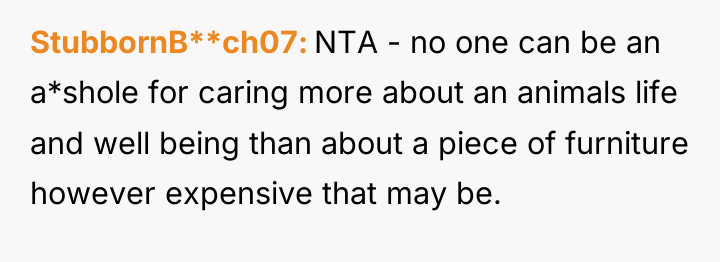 StubbornB**ch07 NTA - no one can be an a*shole for...
