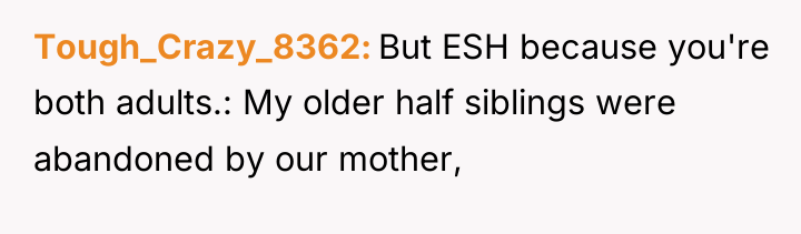 Tough_Crazy_8362 But ESH because you're both adults.: My older half...