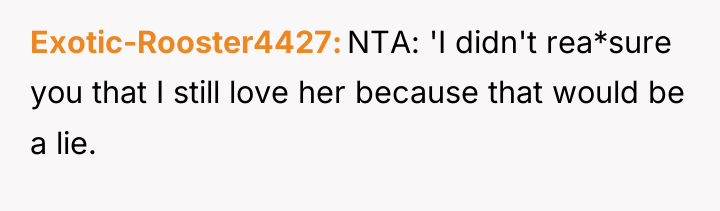 Exotic-Rooster4427 NTA: 'I didn't rea*sure you that I still love...