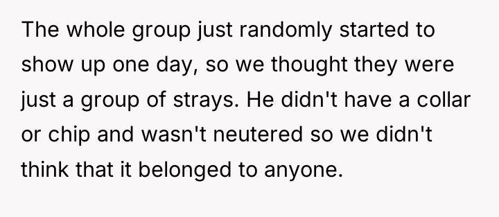 The whole group just randomly started to show up one...