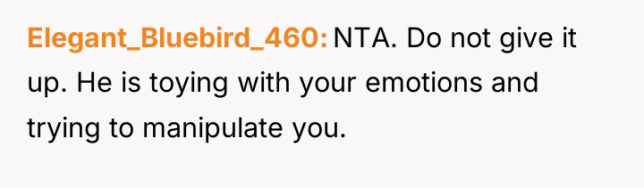 Elegant_Bluebird_460 NTA. Do not give it up. He is toying...