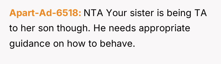 Apart-Ad-6518 NTA Your sister is being TA to her son...