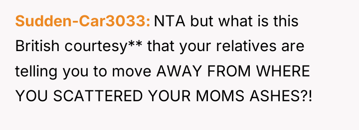 Sudden-Car3033 NTA but what is this British courtesy** that your...