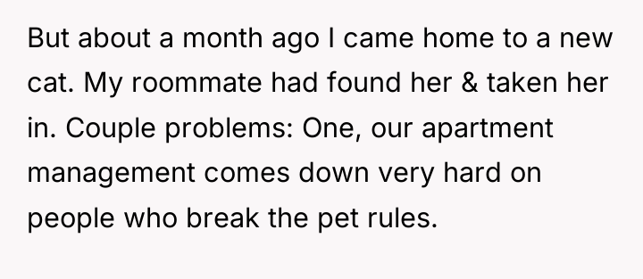 But about a month ago I came home to a...