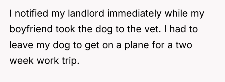 I notified my landlord immediately while my boyfriend took the...
