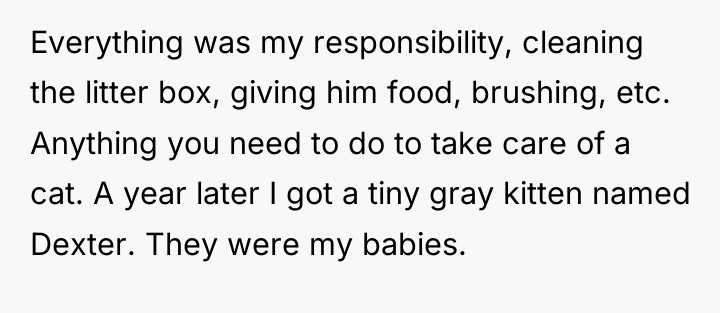Everything was my responsibility, cleaning the litter box, giving him...