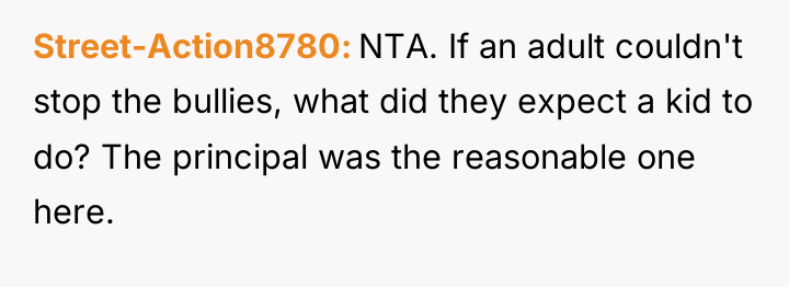 Street-Action8780 NTA. If an adult couldn't stop the bullies, what...
