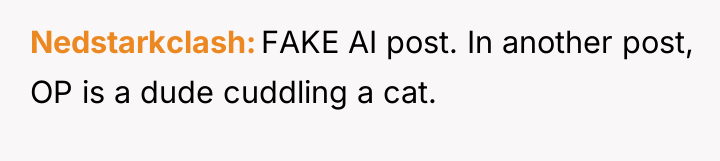 Nedstarkclash FAKE AI post. In another post, OP is a...